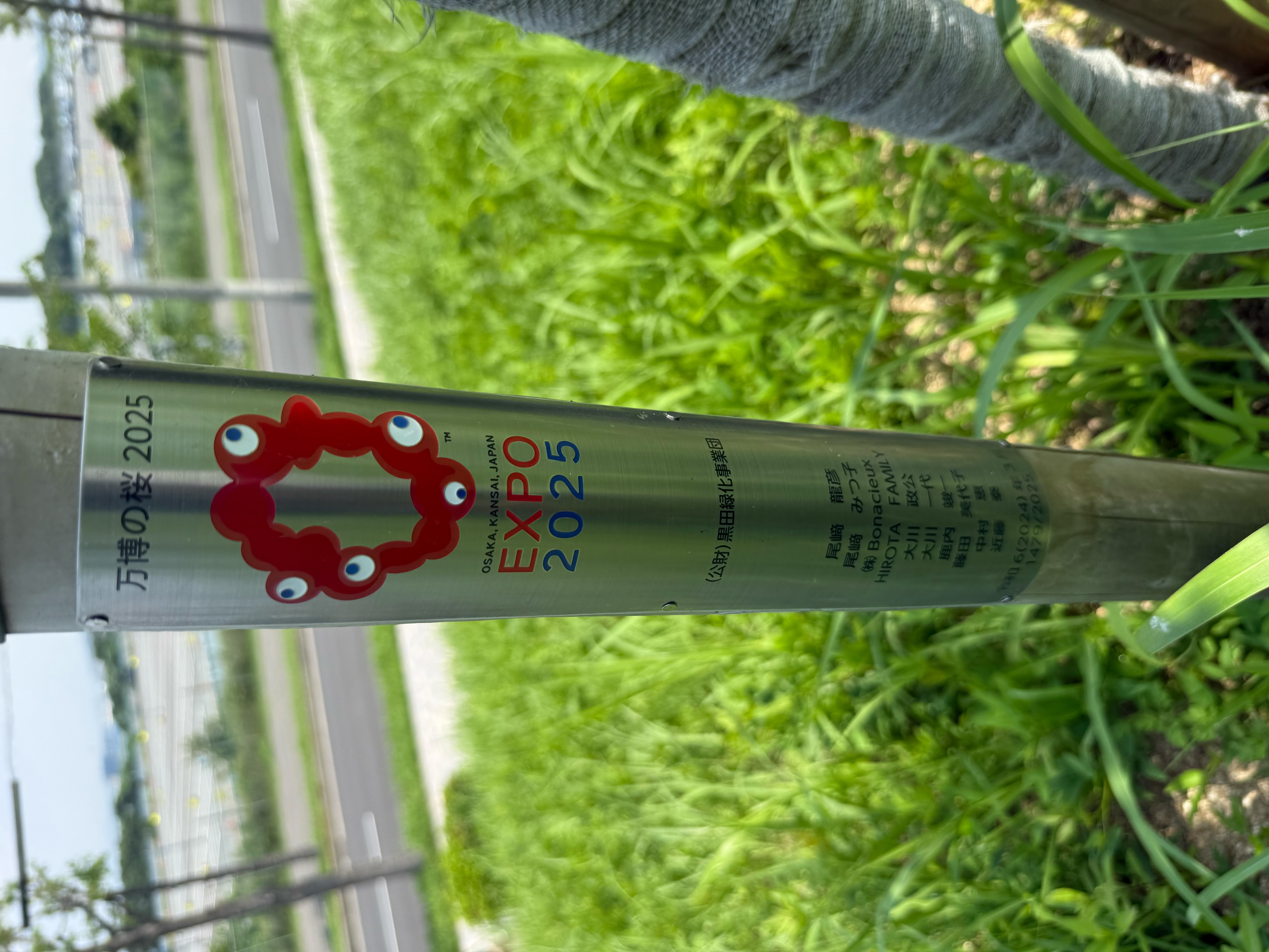 桜寄贈に関する記念写真・情報